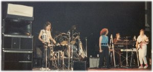 Software's Last Gig in 1985